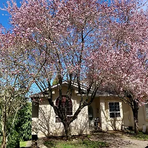  Guest house Red Robe Air Canada
